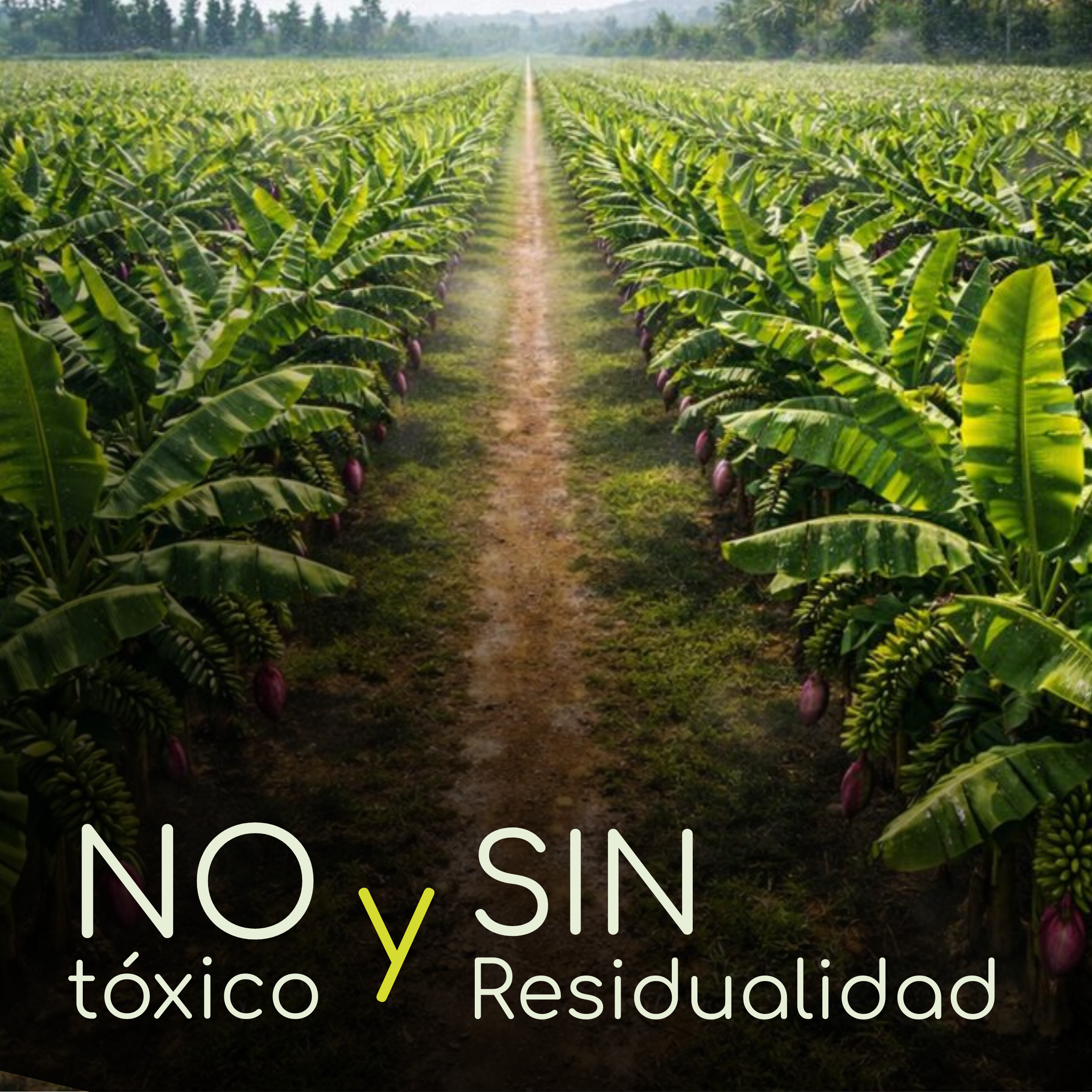 Vita Proteck - Desinfectante Post cosecha