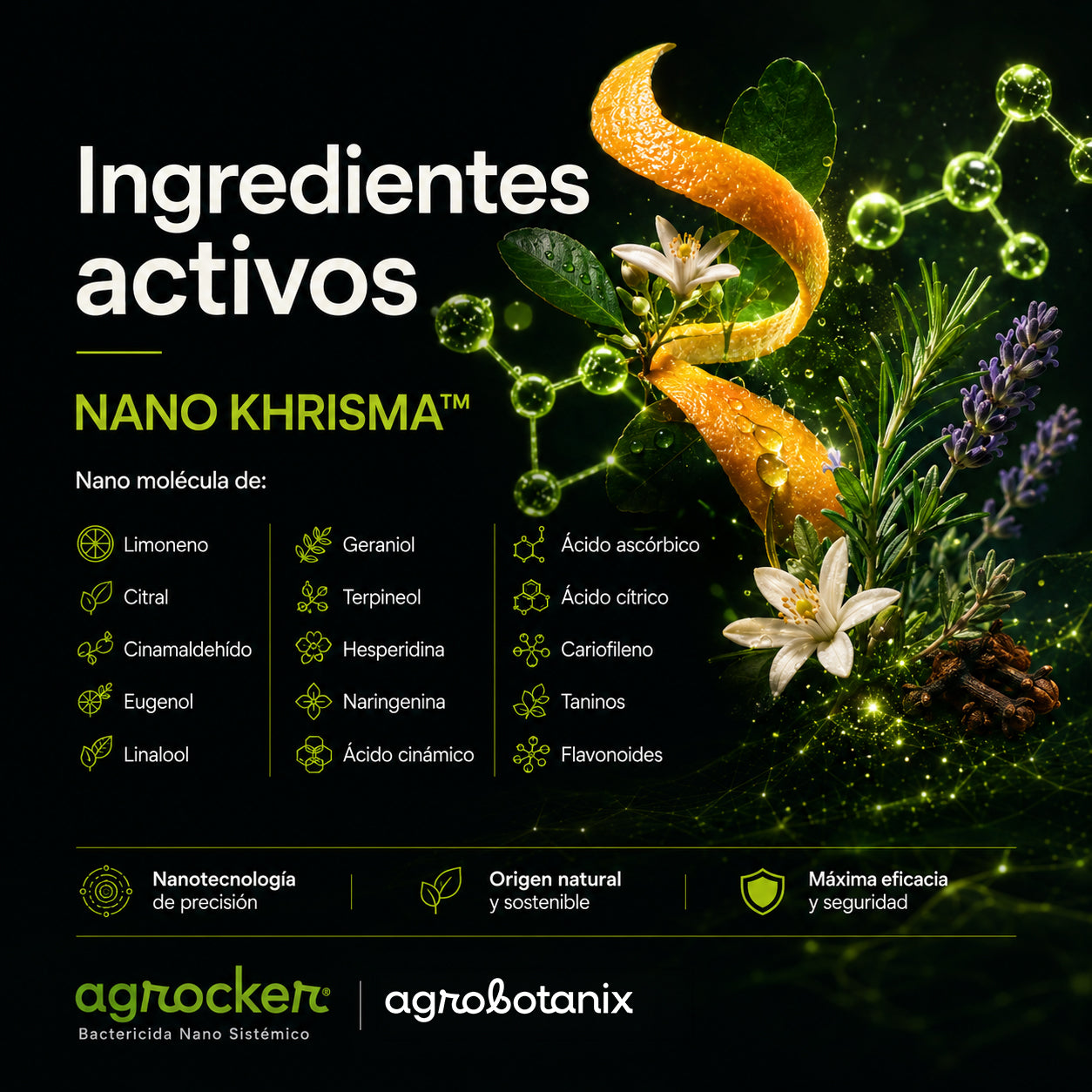 Agrocker - Bactericida Nano Sistémico