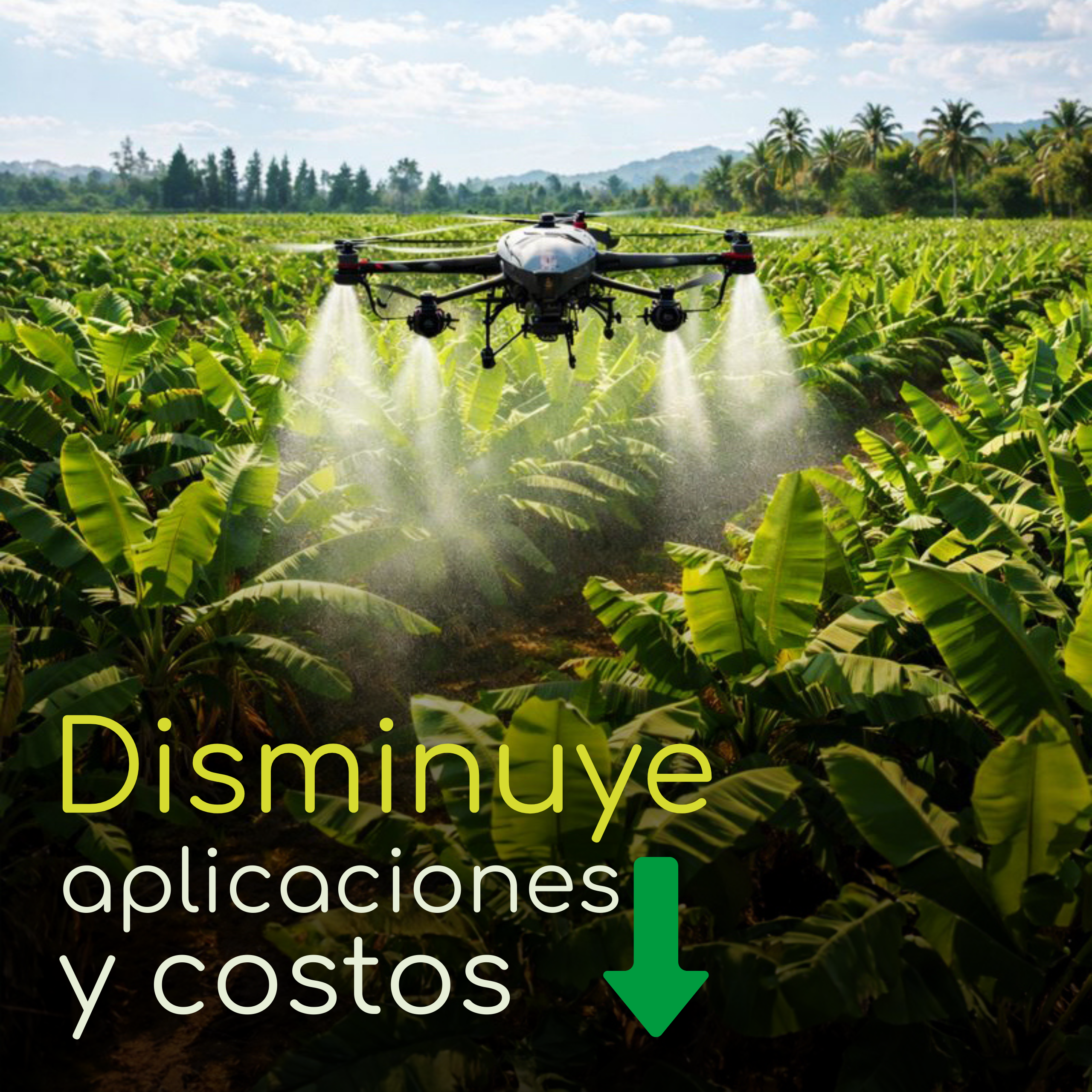 Agrocker - Activo Nano Sistémico para hongos, virus o bacterias - 1 Litro