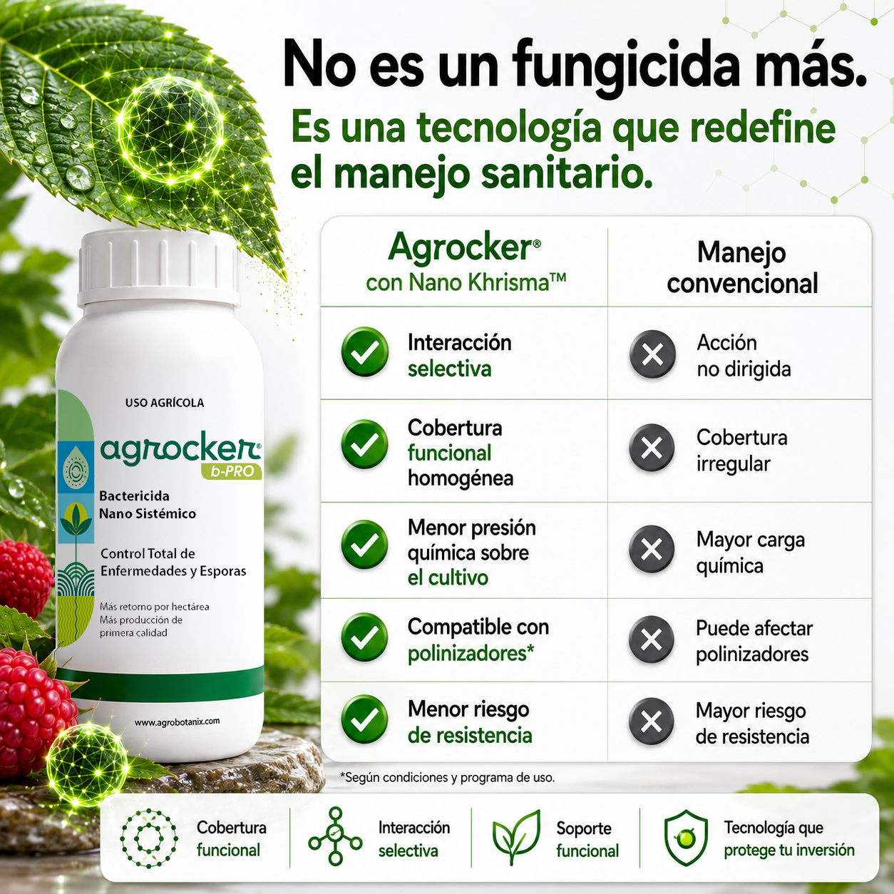 Agrocker b-Pro - Bactericida Nano Sistémico