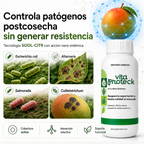 Vita Proteck - Desinfectante Post cosecha