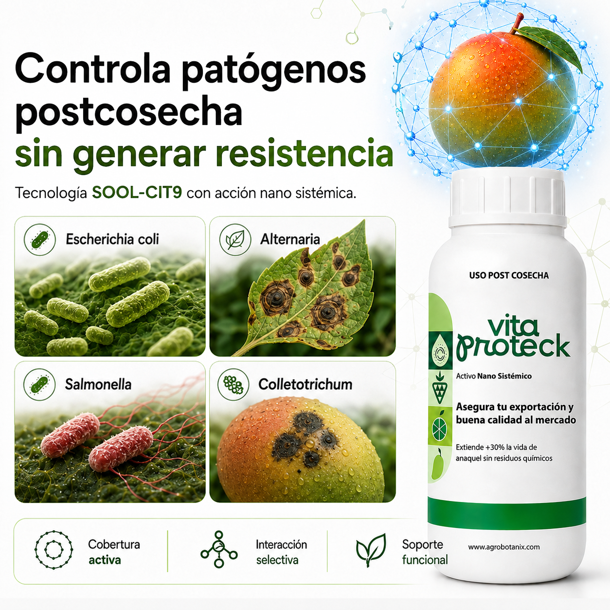 Vita Proteck - Desinfectante Post cosecha