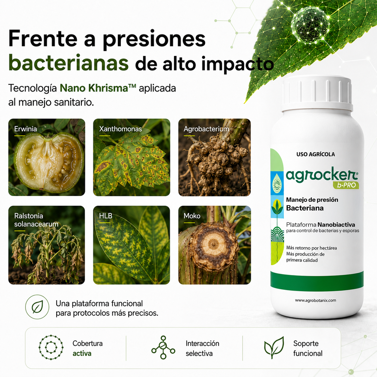 Agrocker b-Pro - Bactericida Nano Particulado