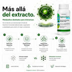 Agrocker v-Max - Virucida Nano Particulado 1 Litro