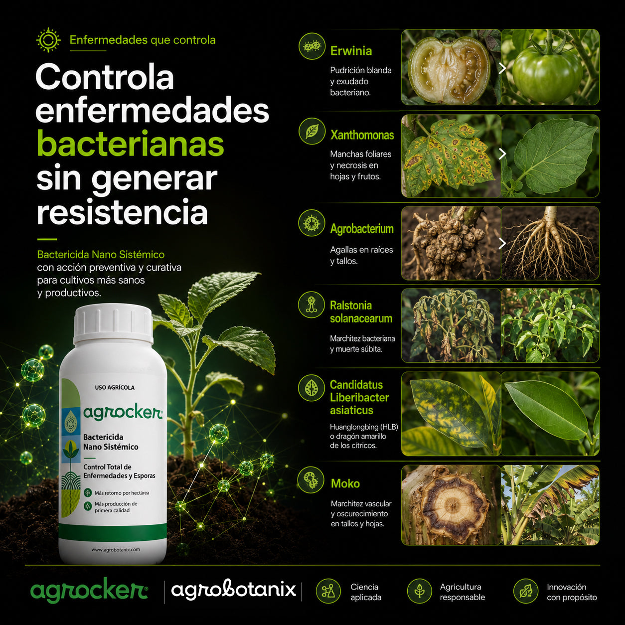 Agrocker - Bactericida Nano Sistémico