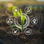 Protocolo de acción