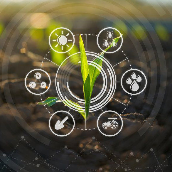 Protocolo de acción