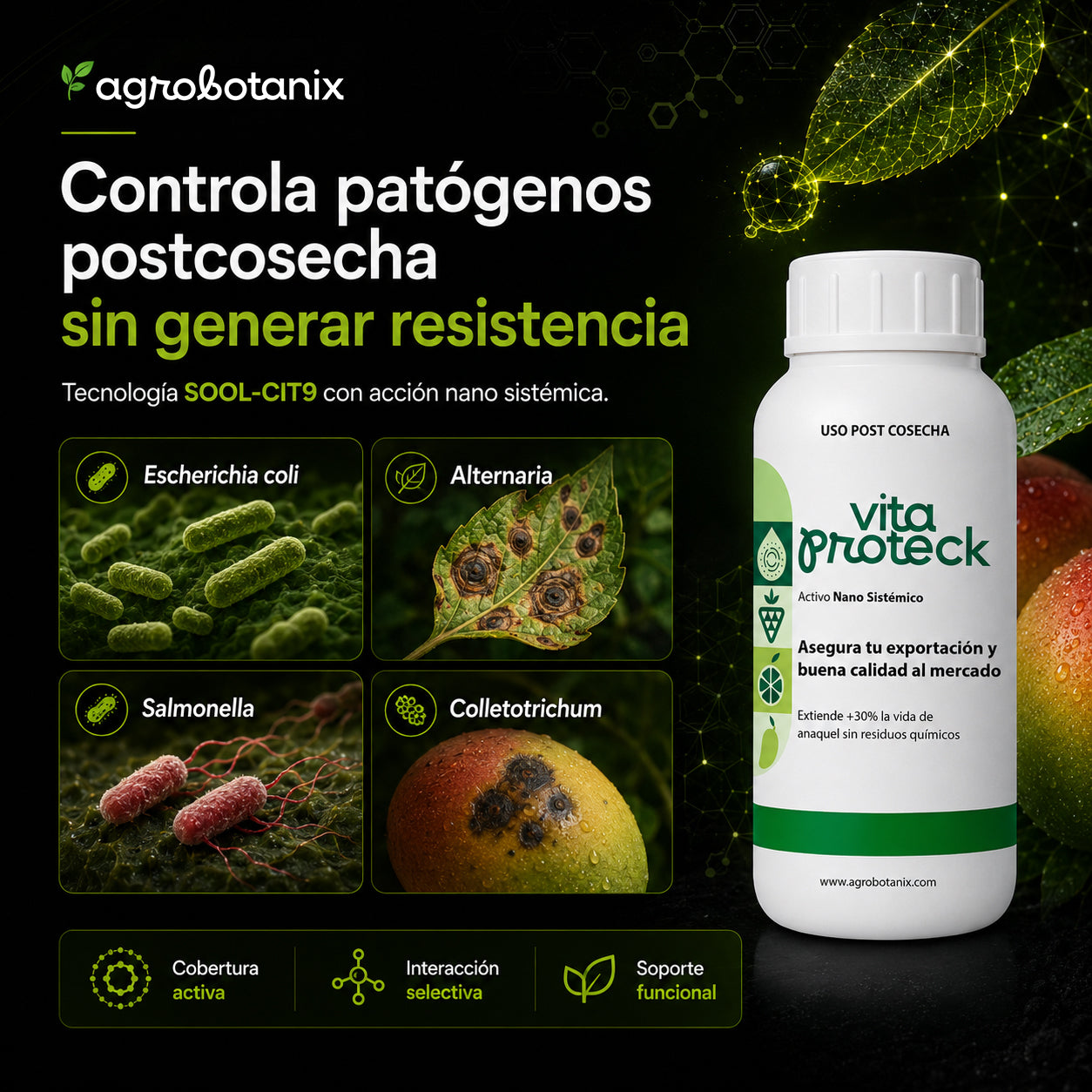 Vita Proteck - Desinfectante Post cosecha